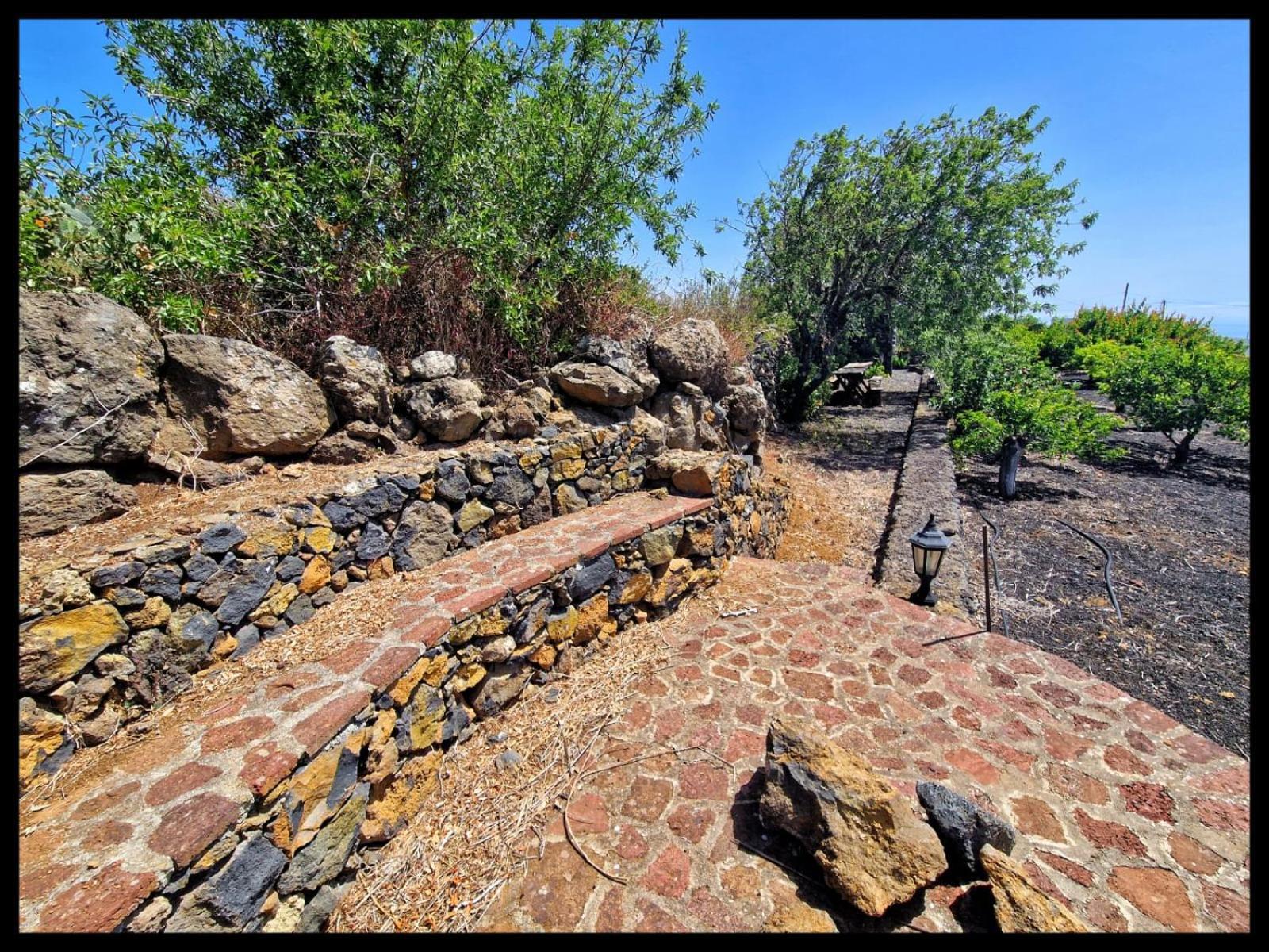 Casa Rural Faustina Isora エクステリア 写真