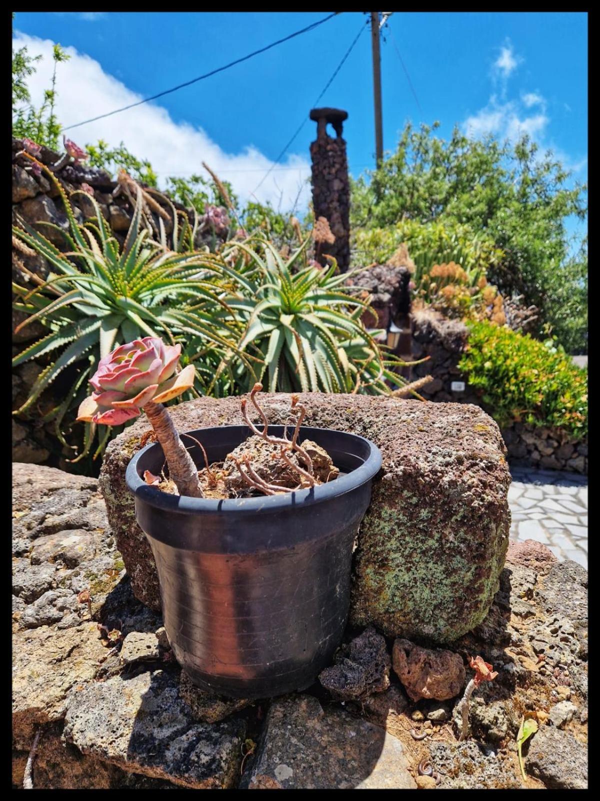 Casa Rural Faustina Isora エクステリア 写真